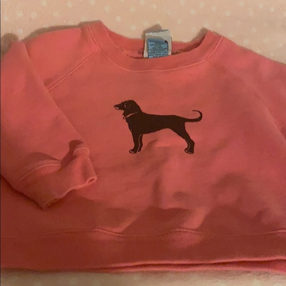 The black dog -2T